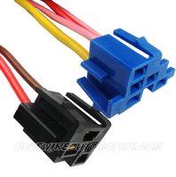 
              POWER PULSE 24-CIRCUIT WIRE HARNESS-BWAPP24
            