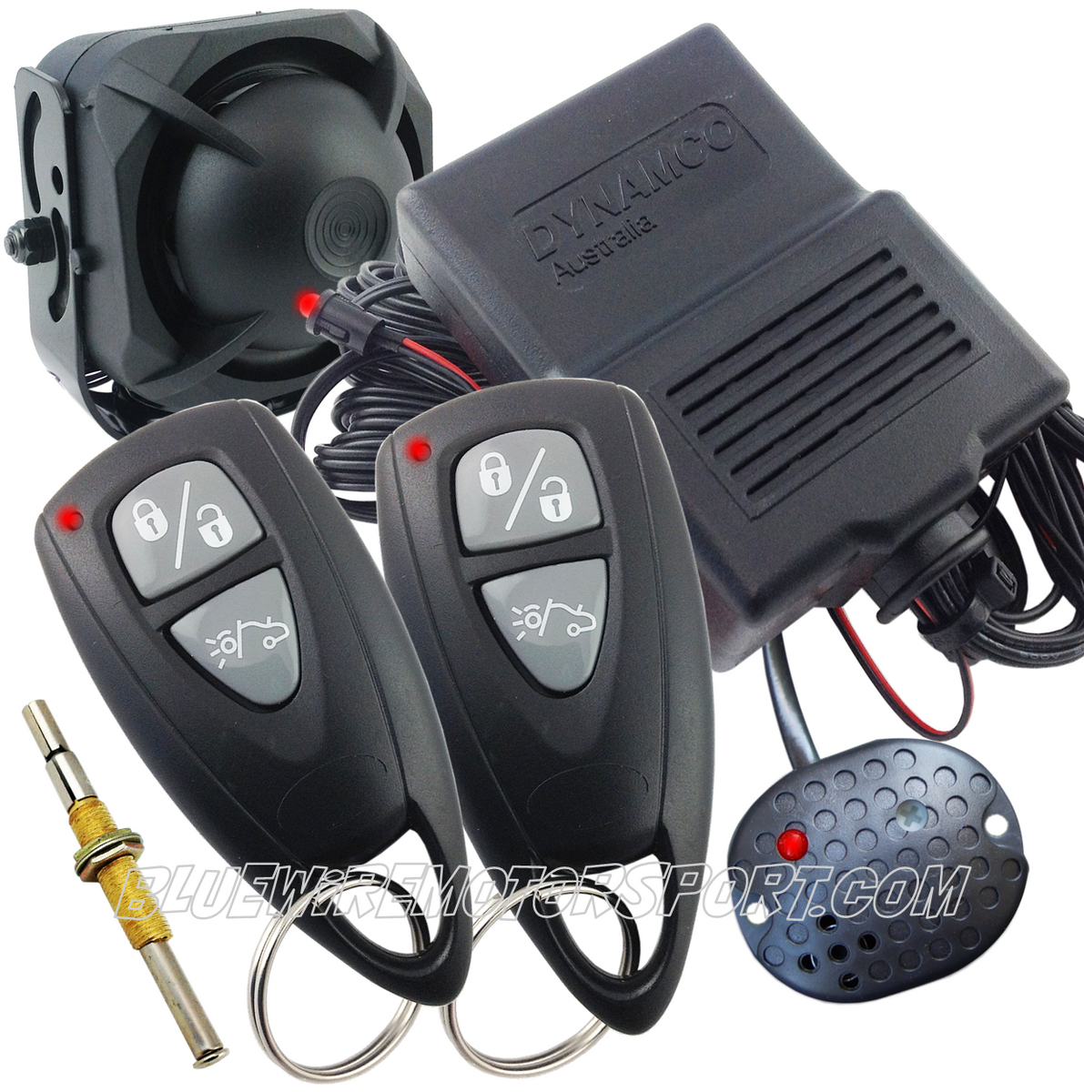 Car alarm store backup battery