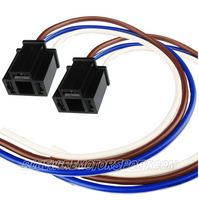 
              POWER PULSE 24-CIRCUIT WIRE HARNESS-BWAPP24
            
