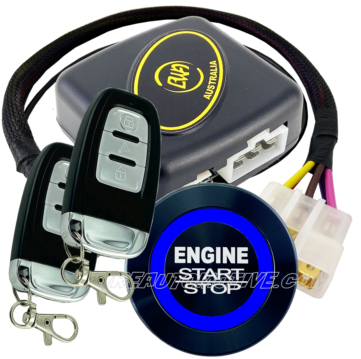 Holden remote online start