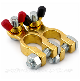 POSITIVE & NEGATIVE WINGNUT BRASS POST BATTERY TERMINALS