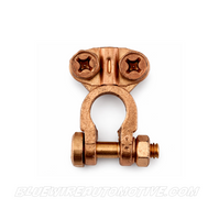 
              SMALL POSITIVE & NEGATIVE JIS PENCIL POST BATTERY TERMINALS-12mm
            