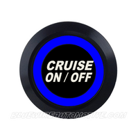 
              BLACK SERIES BILLET BUTTON-CRUISE CONTROL ON/OFF-19MM
            