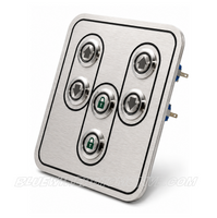 
              DELUXE SILVER SERISE BILLET POWER WONDOW & LOCKING SWITCH KIT
            