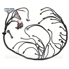 LS1 STANDALONE ENGINE WIRING HARNESS EV1 (DBC) 4L60 AUTO-TRANS