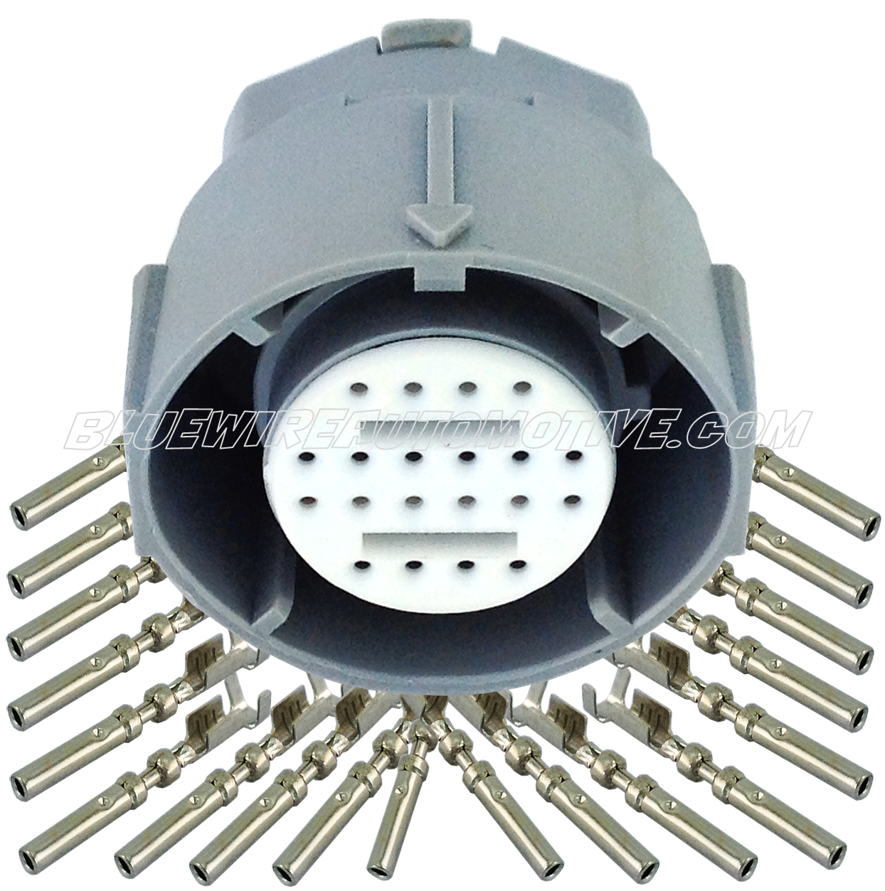 AUTOMATIC TRANS CONNECTOR PLUG LS1-20pin - BWAP0015